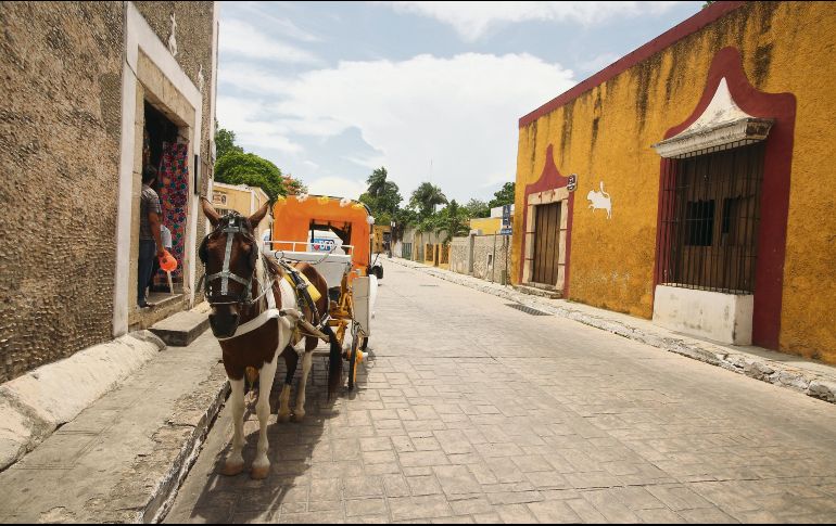 Carro de caballos. Un infaltable turístico que nos recuerda a la Perla Tapatía.  EL INFORMADOR / F. González