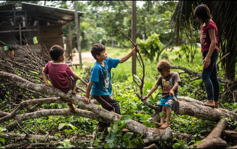 La mayor parte de los niños expuestos se encuentran en las regiones Cerro de Pasco y Junín, denuncian. AFP/ARCHIVO