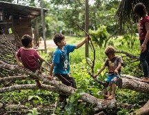 La mayor parte de los niños expuestos se encuentran en las regiones Cerro de Pasco y Junín, denuncian. AFP/ARCHIVO