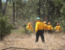 Trabajan también en el establecimiento de un programa de recuperación y restauración de la microcuenca afectada por los incendios en San Gabriel. EL INFORMADOR / ARCHIVO