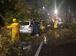 Tormenta deja inundaciones y árboles caídos en Guadalajara