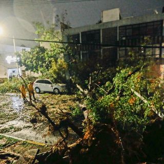 Reforzarán operativo para retirar a indigentes de puntos de riesgo