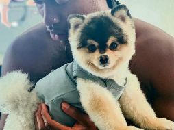 El ex jugador del Liverpool busca recuperar a su mascota. INSTAGRAM / @danielsturridge