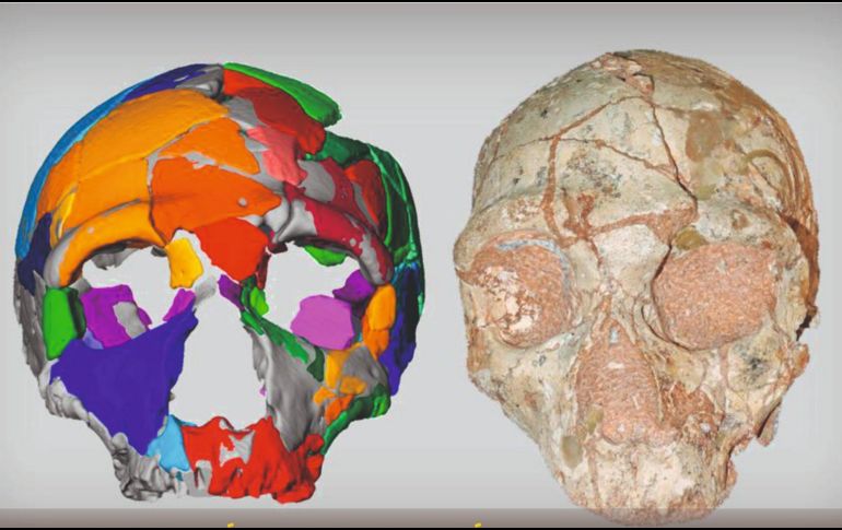 Los resultados sugieren que dos grupos humanos del Pleistoceno medio tardío estaban presentes en este sitio. TWITTER / @C_Positronico