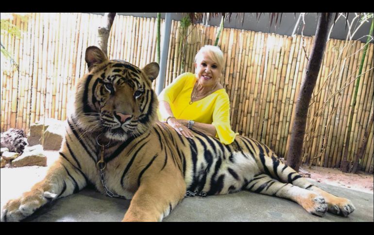 La Güera Salas con un tigre de bengala en Tailandia. 