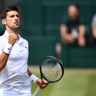 Djokovic contra Bautista, la otra Semifinal