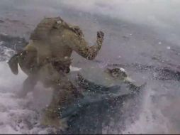 Captan decomiso en submarino en movimiento en EU