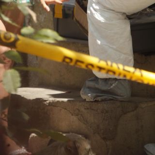 Hallan tres cuerpos en vivienda de Tonalá