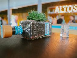 El Consejo Regulador del Tequila también busca el reconocimiento en el Reino Unido y Argentina. EL INFORMADOR/Archivo