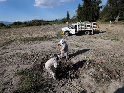 Más de 20 funcionarios han sido acusados de participar en el millonario ilícito. SUN/Archivo