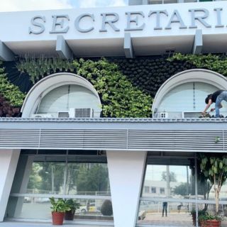 "Reviven" muro verde de la Secretaría de Administración de Jalisco