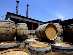 El reconocimiento permite que el tequila tenga presencia comercial en el mercado brasileño y goce de un trato nacional. AFP/ARCHIVO