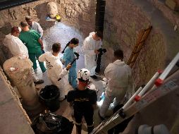 El vocero de la Santa Sede, Alessandro Gisotti, dice que se realizan análisis en el Pontificio Colegio Teutónico, donde se hallaron los huesos debajo de una losa la semana pasada. AFP / Medios Vaticanos