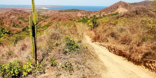 Sayulita se vive al m&aacute;ximo