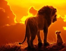 El Rey León