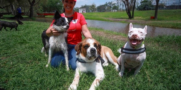 Un remanso para perros en Tala