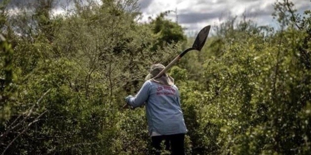 La CEDH inicia queja de oficio por muerte de activista en Michoac&aacute;n