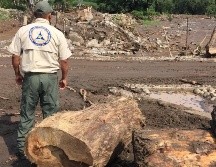 La dependencia agregó que sí bajó material forestal, como ramas, pero no afectó ni viviendas ni a la población. ESPECIAL/ @PCJalisco