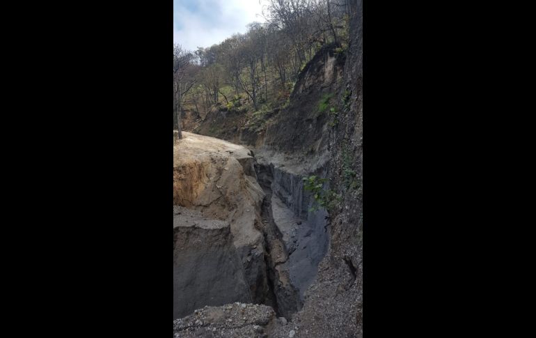 ESPECIAL/OPD Bosque La Primavera