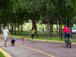 El evento, a desarrollarse en el Parque Metropolitano, busca juntar los beneficios de las berries como alimento junto a la actividad física. EL INFORMADOR/ARCHIVO