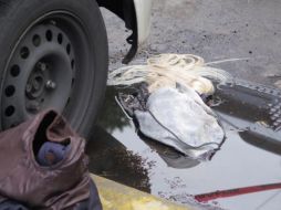 Al igual que la detenida por el presunto doble homicidio, la mujer que buscan las autoridades también usaba una peluca rubia para disfrazarse. SUN/ARCHIVO