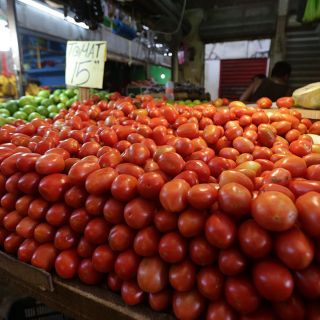 Baja 0.8% la producción de jitomate; pierden más de 11 mil toneladas