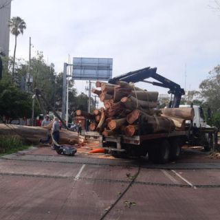 Tras tormenta de anoche, limpian y desazolvan alcantarillas