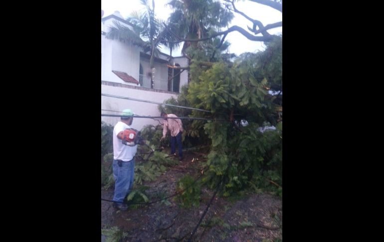 TWITTER/ @GobTlajomulco