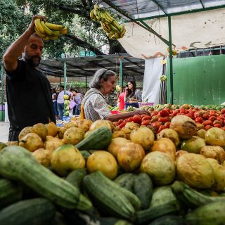 Retrocede actividad económica en 13 entidades durante 2019