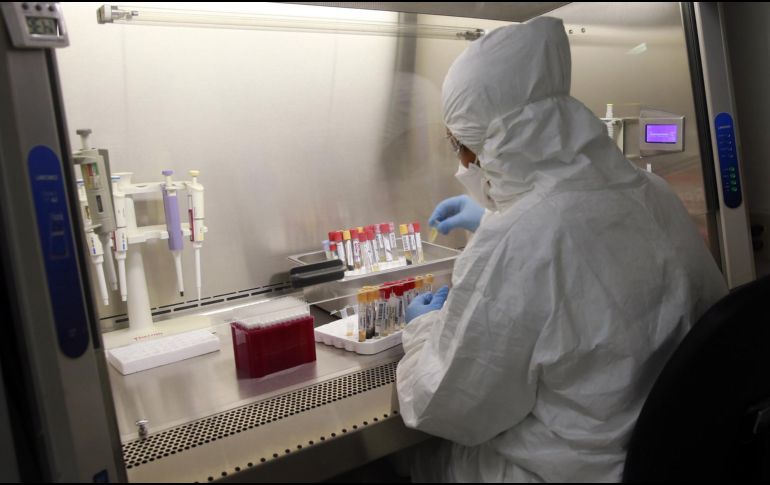 El 31 de julio el laboratorio dejará de funcionar, sin embargo, aún hay 800 muestras almacenadas que deberán ser enviadas a otros centros. EL INFORMADOR / ARCHIVO