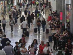 + Informador: Las noticias del 31 de julio de 2019