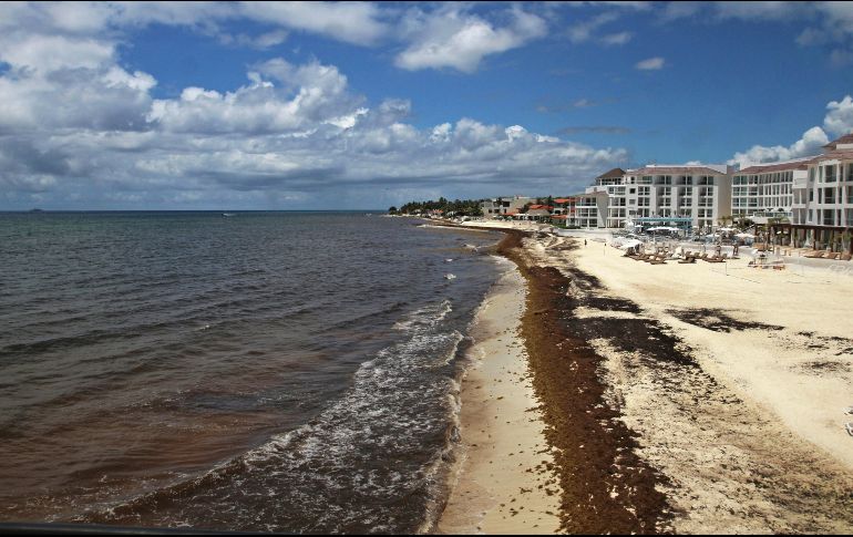 Entre las playas que aún no son limpiadas están Tulum, Cozumel y Otón Blanco. EFE / ARCHIVO