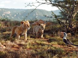 ”El Rey León” se estrenó el pasado 9 de julio y desde entonces se ha mantenido como el líder en taquilla. FACEBOOK / The Lion King