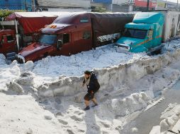 El gobierno estatal buscará revertir los efectos del cambio climático, que han derivado en fenómenos como la granizada del pasado 30 de junio. EFE