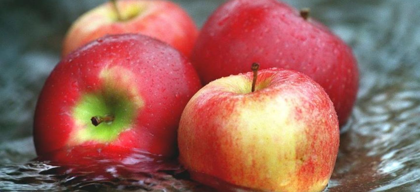 Uno de los beneficios a la salud que aporta la manzana es que ayuda a eliminar el colesterol malo del cuerpo ya que cuenta con un alto contenido de fibra insoluble. AP / ARCHIVO
