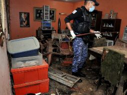 En el lugar intervino el Grupo Especial de Reacción e Intervención (GERI) y elementos de la Policía de Investigación (PDI), para rescatar a los animales. TWITTER / @PGJDF_CDMX