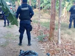 Policías custodian el sitio en el platanar donde fueron hallados los cuerpos, en la localidad Las Higueras. EFE