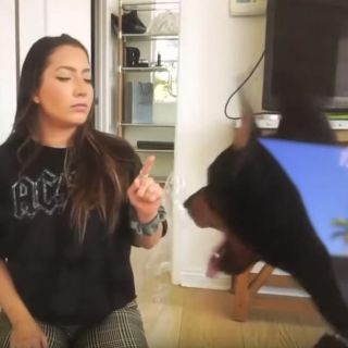 YouTuber sube por error video donde maltrata a su perro