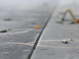 El incidente ocurrió, según vecinos, en un establecimiento con venta de bebidas alcohólicas. EL INFORMADOR/ARCHIVO