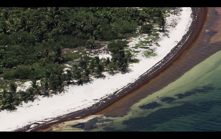 Los tres hombres se trasladaron a Quintana Roo para trabajar por tres meses. Desaparecieron tras acudir a una playa durante su día de descanso. EFE/ARCHIVO