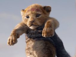 Si a “El Rey León” se le consideraría como un filme en “live action”, superaría de igual manera a “La Bella y la Bestia”, convirtiéndose en el mayor musical de acción en vivo de todos los tiempos.  FACEBOOK / The Lion King