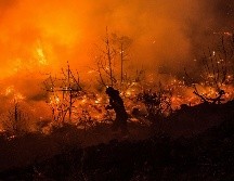 Más de 220 bomberos, junto con seis helicópteros y seis aviones de descarga de agua, fueron desplegados para sofocar las llamas. AFP/A. Tzortzinis