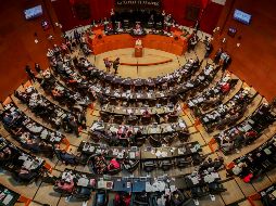 Se prevé que el proyecto de dictamen sea aprobado durante el próximo periodo ordinario que inicia en septiembre. SUN/ARCHIVO
