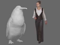 El enorme pingüino, reconstruido por el Museo de Canterbury. Canterbury Museum