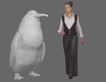 El enorme pingüino, reconstruido por el Museo de Canterbury. Canterbury Museum