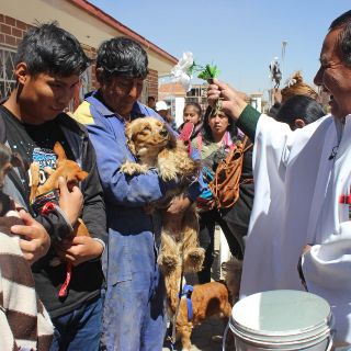 Fotogalería: Bolivia celebra a San Roque con rezos para los perros
