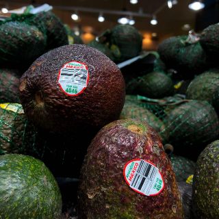 Aguacate baja su precio; se vende en 50 pesos en mercados del país