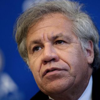 En violencia de género, todos deberíamos ser "feministas radicales": OEA