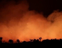 La selva amazónica se ha vuelto cada vez más susceptible a sufrir incendios. REUTERS