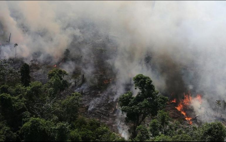El Instituto Nacional de Investigaciones Espaciales (INPE) de Brasil detectó más de 72.800 focos de incendios en la región en lo que va de año. Reuters